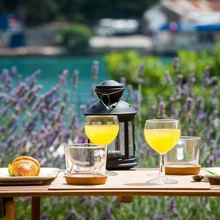 Lavander Studio Mokošica