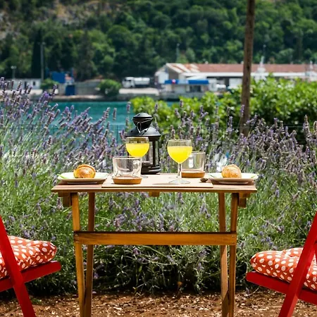 Lavander Studio Mokošica